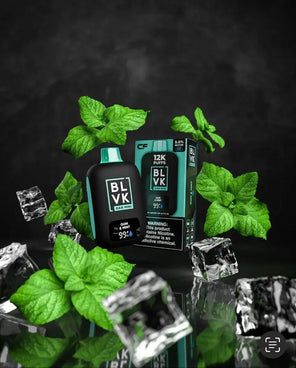 BLVK 12000 Mini Disposable Vape - Coffee and Vape Shop South Africa