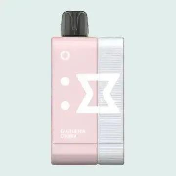 Elf Bar EW 9000 Kit Disposable Pod Kit - Coffee and Vape Shop South Africa