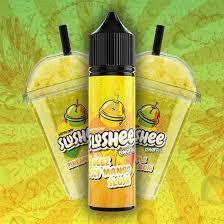 Vapology Slushee E-Liquids | Nic Salt Sold Separately - Coffee and Vape Shop South Africa