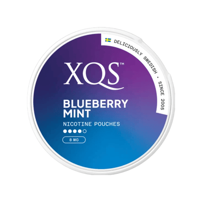 XQS Blueberry Mint 8mg nicotine pouches South Africa